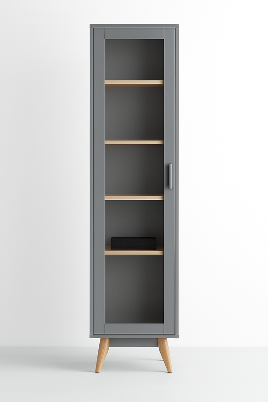 Bibliothèque moderne en bois et verre